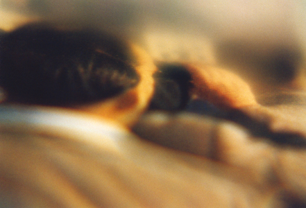 Aussicht, 2003, analoge Fotografie