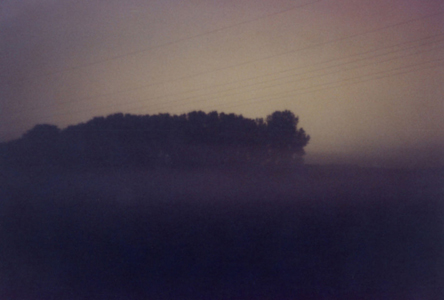 Pappelwaeldchen, 2006, analoge Fotografie