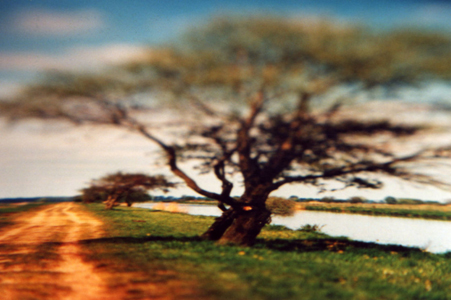 Weg an der Hamme, 2007, analoge Fotografie