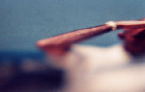 Der Arm, 2008, analoge Fotografie